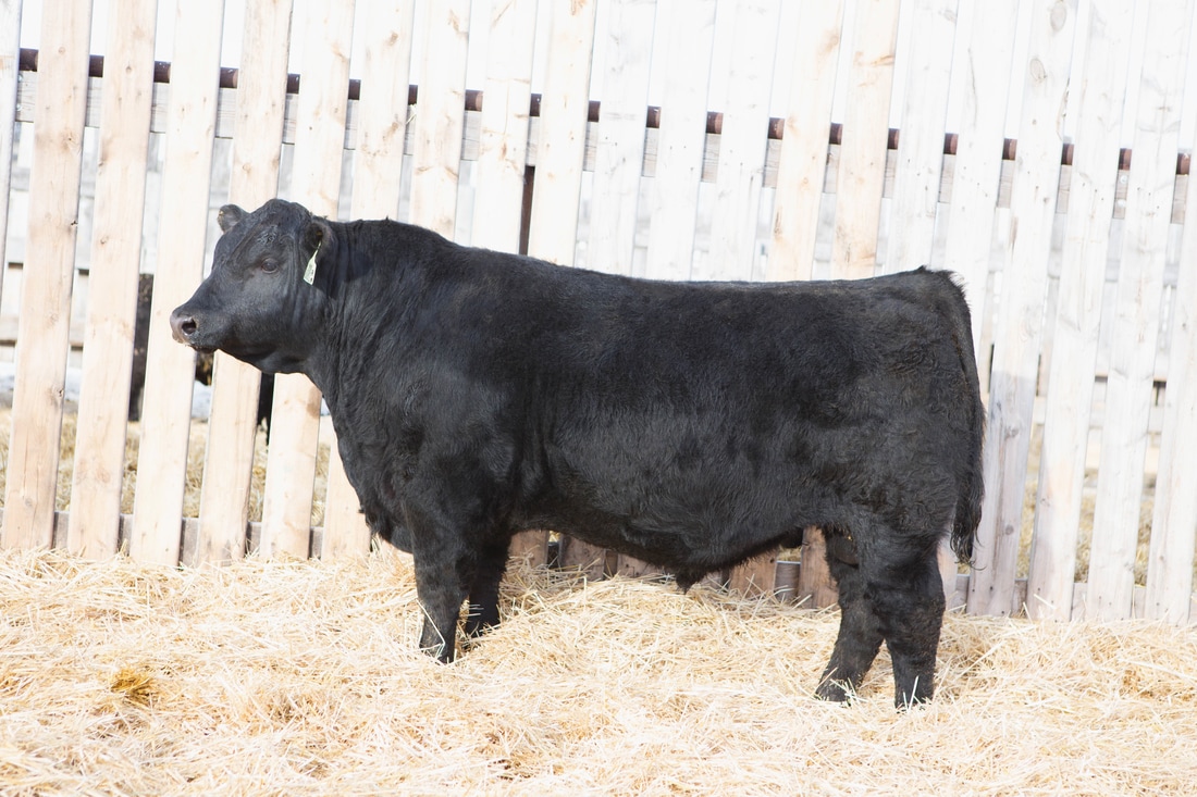 生态环境部公布2018年一季度主要污染物排放严重超标重点排污单位名单-ayx官方网站(图3) ayx官网