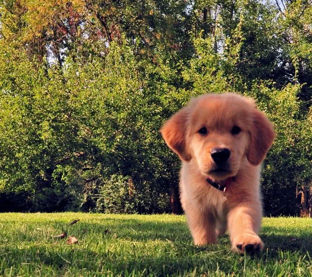 助力《实况足球2021》:KONAMI和罗马体育会建设恒久的独占互助同伴关系_爱游戏(ayx)中国官方网站(图5) 爱游戏(ayx)中国官方网站