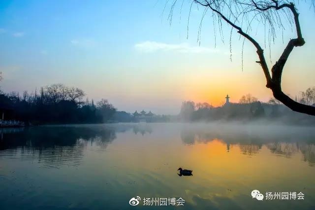 ayx官方网站:*
13年前这部被导演许诺“想象不到的搞笑剧” 效果剧中玉人都惨死(图1) 爱游戏(ayx)中国官方网站