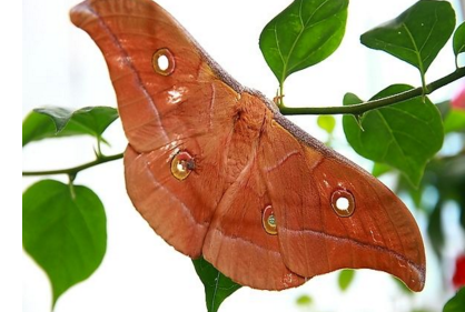 爱游戏（ayx）中国官方网站